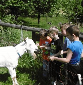 Toulcův dvůr – Koza Róza a její kamarádi